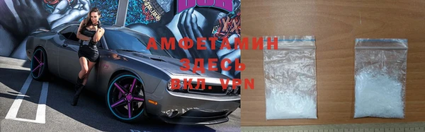 гидра Алексеевка