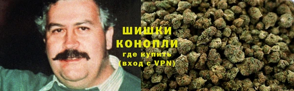 дмт Алзамай