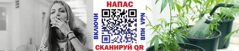 Канабис марихуана  blacksprut онион  Анадырь  купить наркоту 